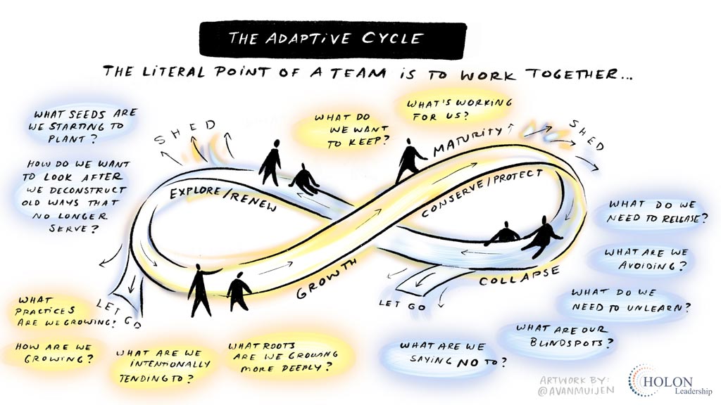 Illustration of the Adaptive Cycle