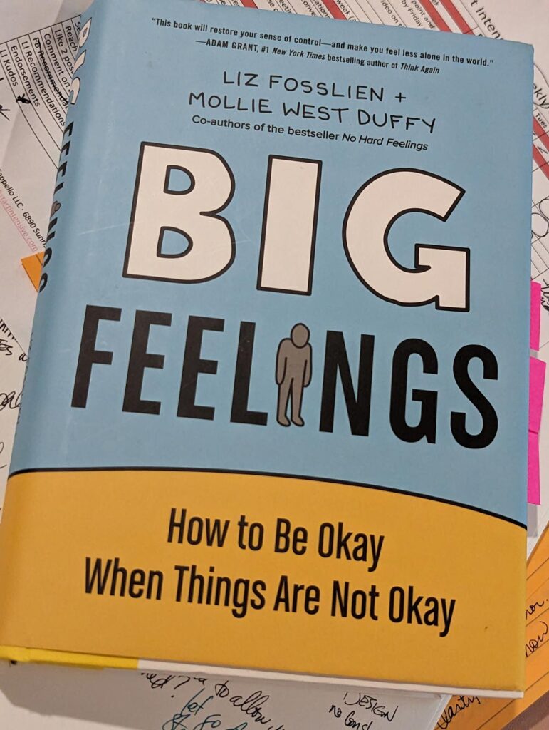 Image of the book cover for "Big Feelings"